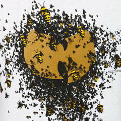 The Swarm Of Killa Beez (Wu Tang Style Beat)