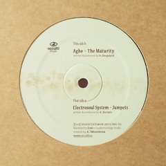 Agbo - The Maturity (Vinyl)