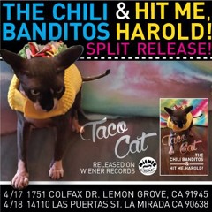 You Don't Know How Lucky You Are (Cover)