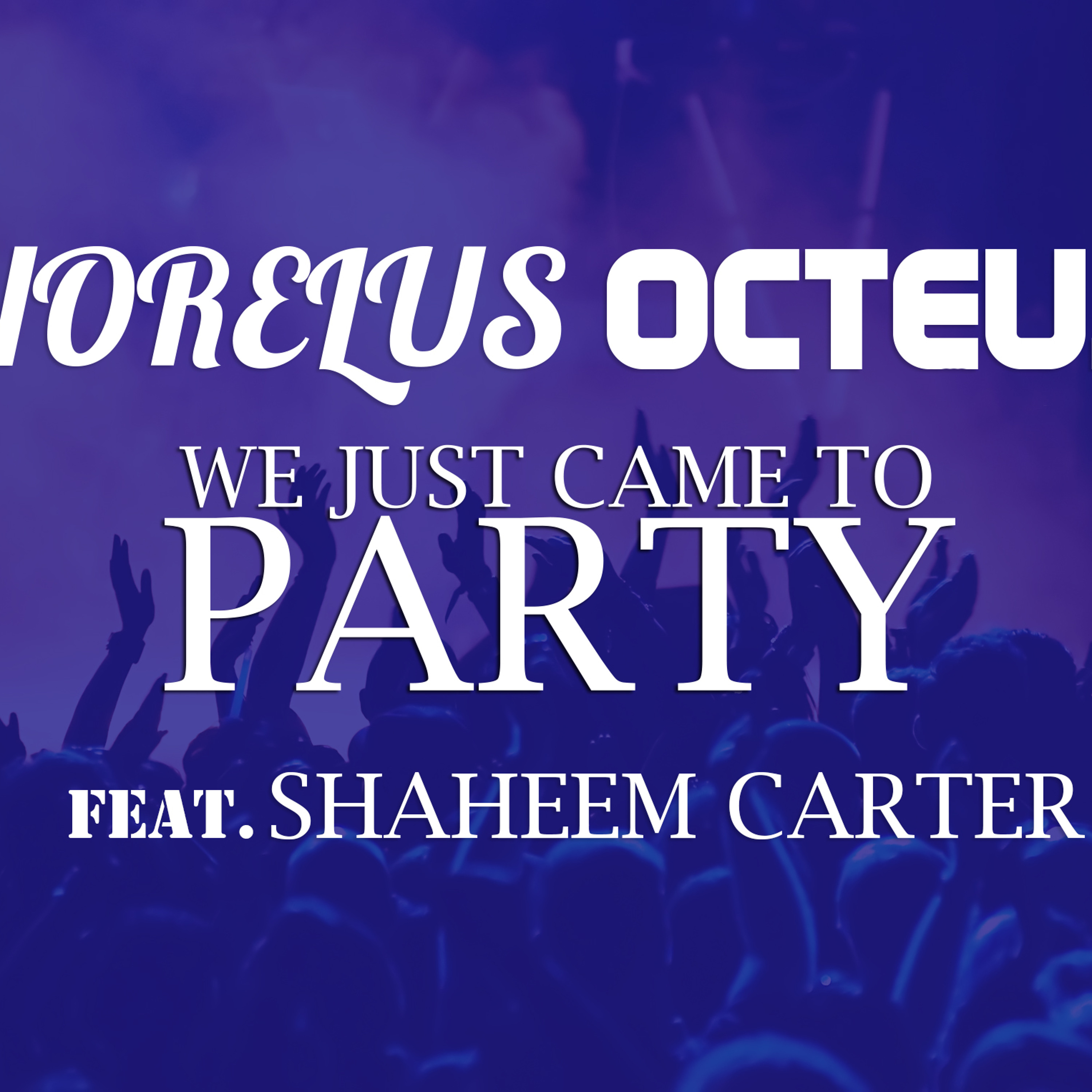WE JUST CAME HERE TO PARTY