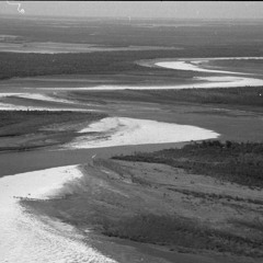 River Delta