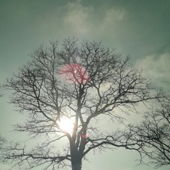 الهادي حامدد/كراسي القلب om احمد صديق