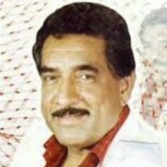 يادفان ريض /محمد جواد اموري