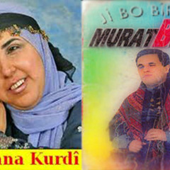 MURAT BEKTAŞ  Bılbılo