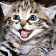 Menanti Sebuah Jawaban (COVER).mp3