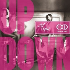 EXID - 위아래 (Up&Down) (COVER)