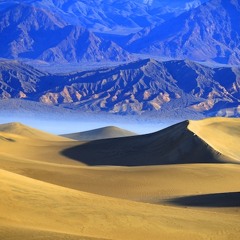 SandDune