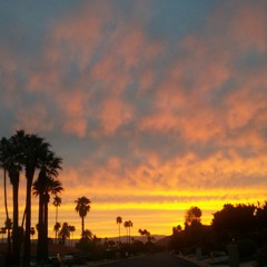 Peace Promises at White Plains, NY