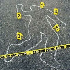 About A Bitch - Shadow D x Pagliacci (Prod. By Dj Swift)