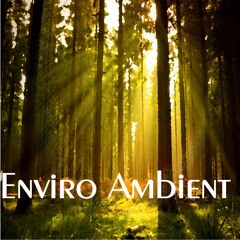 Relaxing Forest Ambient