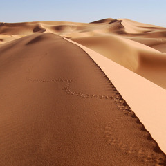 Desert ambient