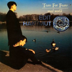 Tears for Fears - Mad World (Hartmut Kiss Edit)