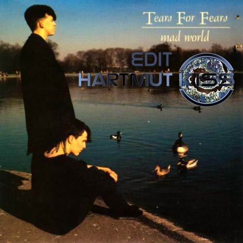 CapCut_mad world tears for fears tradução