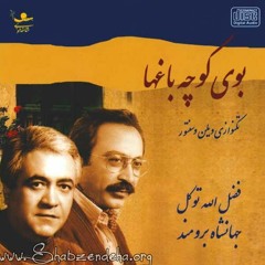 Violin Irani