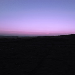 Anna Scent - Gasoline