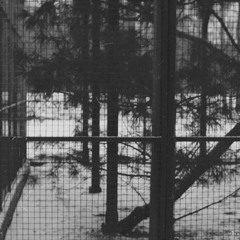 Lass uns Fahrräder zertreten gehen