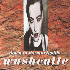 Down In The Marigolds