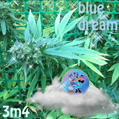 blue dream