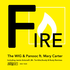 The WIG & Panooc Ft. Mary Carter - Fire (Mr. Terrible's Burning Desire Mix Snippet)