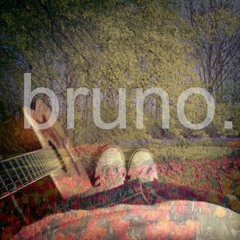 bruno. - not enough(demo version)