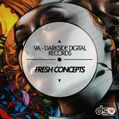 Ovidi Adlert - Technical Problems [Darkside Digital Records]