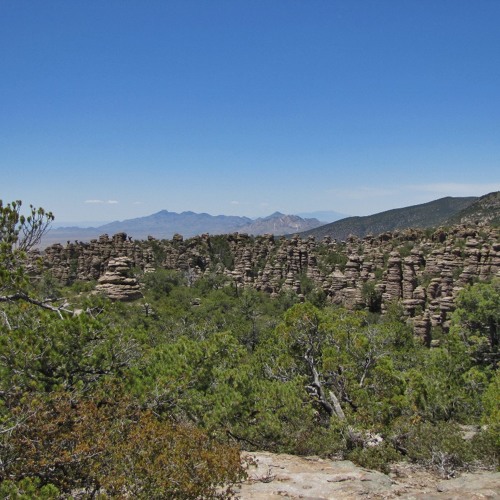 Owls and calling insects - Chiricahua NM 141024