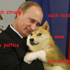 doge party