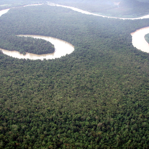 Kinabatangan