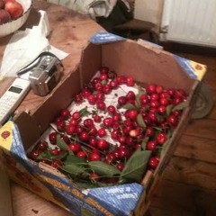 panada mix - corne de bourrasque - part 3