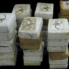 Trap Luv (Freestylel)