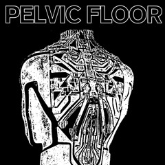 Pelvic Floor live / May17 /La Vitrola