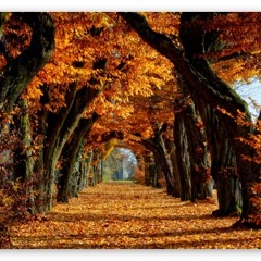 Sweeping Changes (Joshin-Kokyu