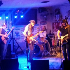 New Age Girl -Deadeye Dick (Wedgewood Brothers cover) at Springfield, Il