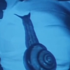 Destiny (The Veil Mix)