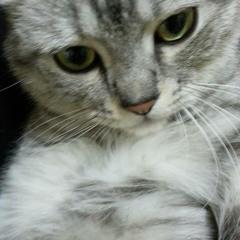 Ruibass - Crystalline (feat.K)