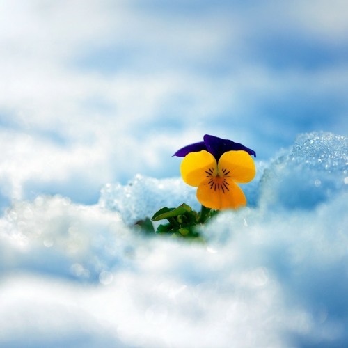 Now is the time to be aware