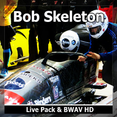 Bob Skeleton - Two Men Bob