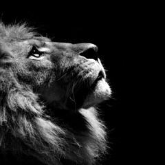 Thankful "Instru Ndombolo"