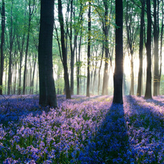 String Epic Times - Albert Korman