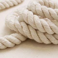 Le Corde Del Cuore