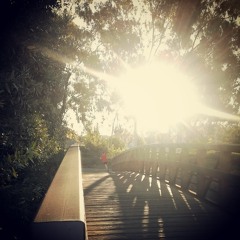 Intens summerfeeling #gonnabeawesome #gonnapartytohard