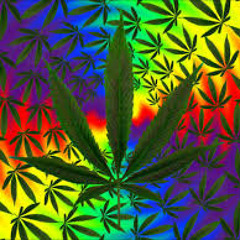 i wanna be a hippy