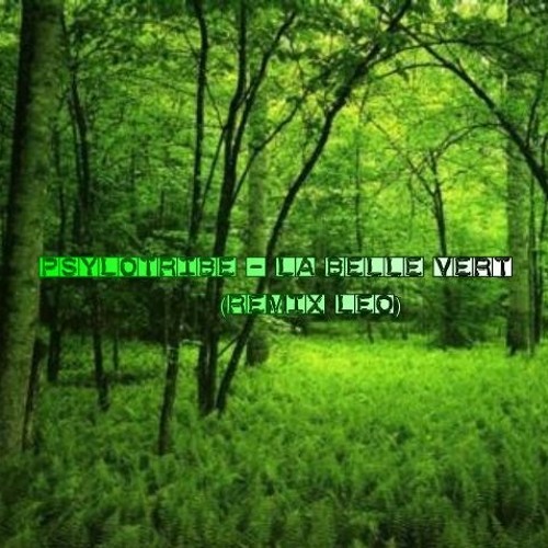 Psylotribe - La Belle Verte (Remix Vortek's)