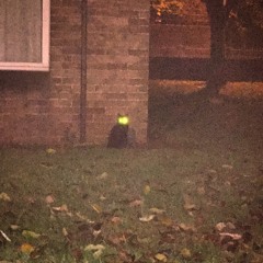 Mystery (Work In Progress V1)