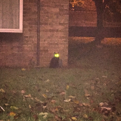 Mystery (Work In Progress V1)