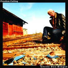 03 Freedom Calling