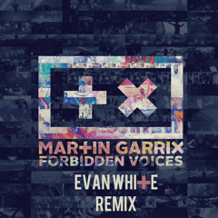 Martin Garrix - Forbidden Voices (Evan White Remix)