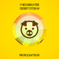 Yves Deruyter - Desert Storm - Extended Mix (Pig Room Trax)