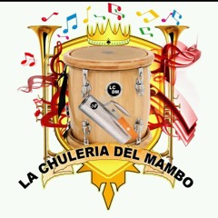 La Mejor De Toda Excel Chuleria Del Mambo a En Vivo Con Pacha Record