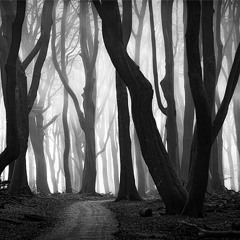 Salafi Advice During Times of Trials & Tribulation Pt.4 By Amin Manning